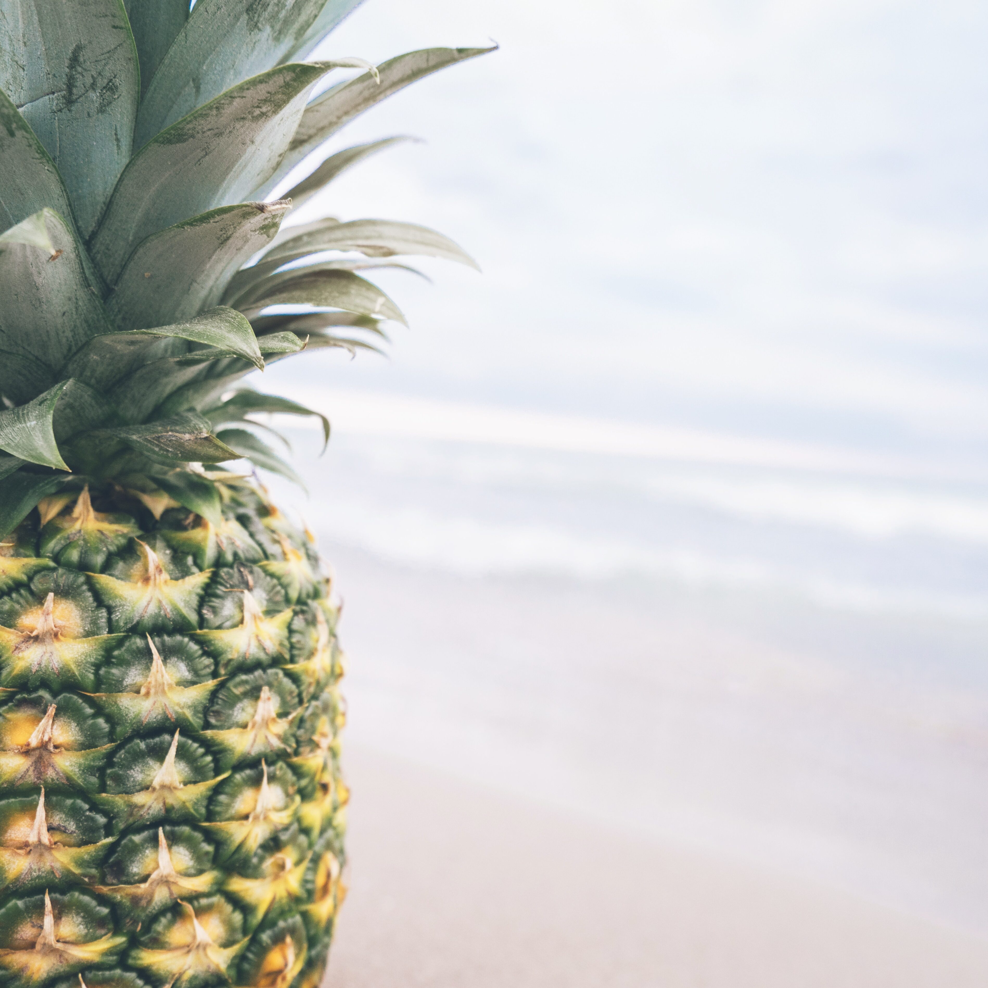 beach-food-fruit-137113 beach-food-fruit-137113